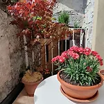 Il Vicolo Agli Orti - Centro Storico - *