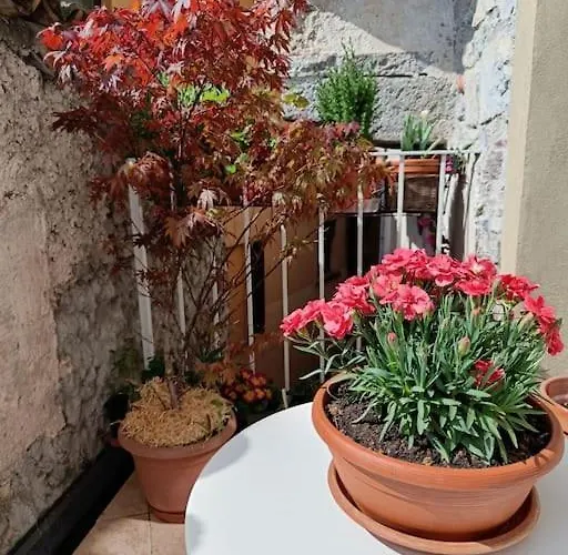 Il Vicolo Agli Orti - Centro Storico - *